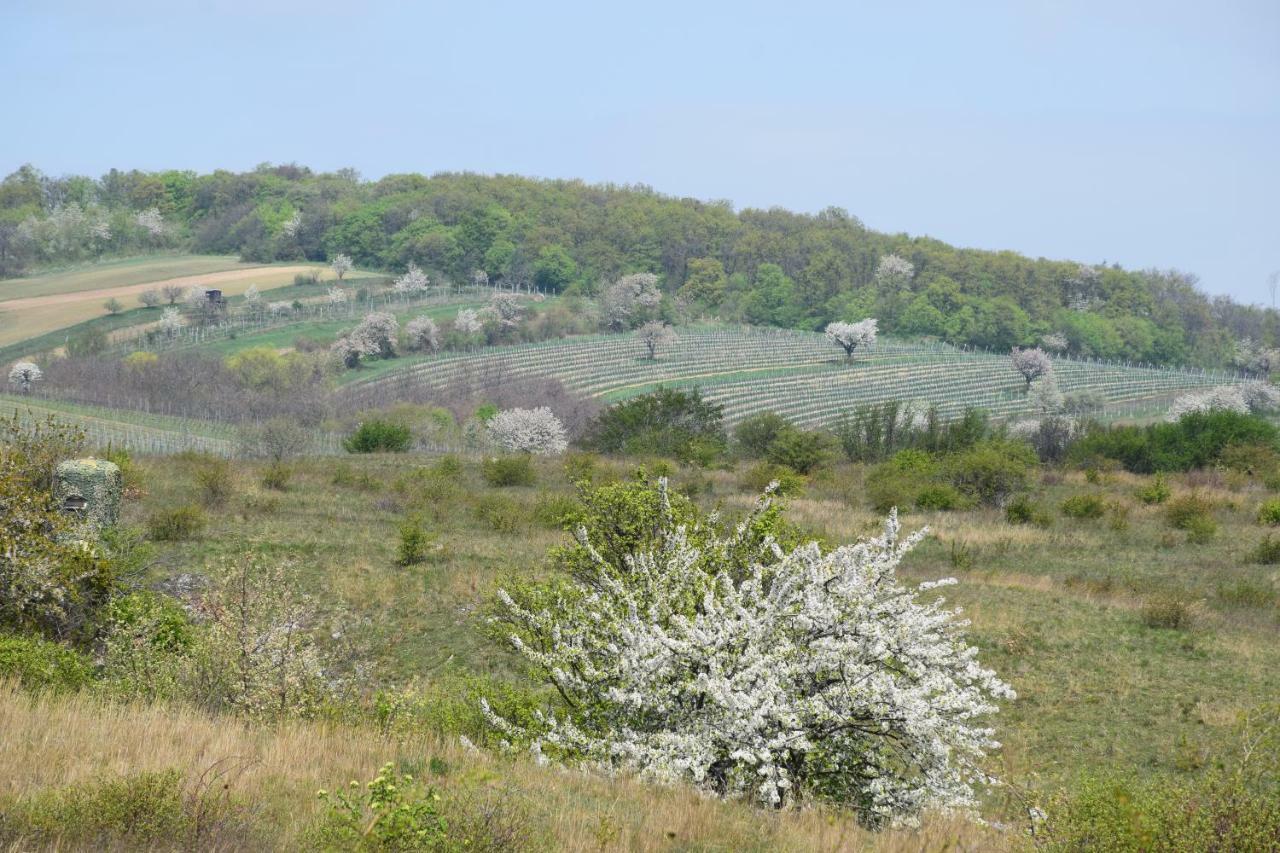 ברייטנברון Gaestehaus Anita מראה חיצוני תמונה